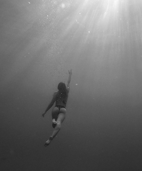 Untitled_1.5.1 Untitled_1.5.1